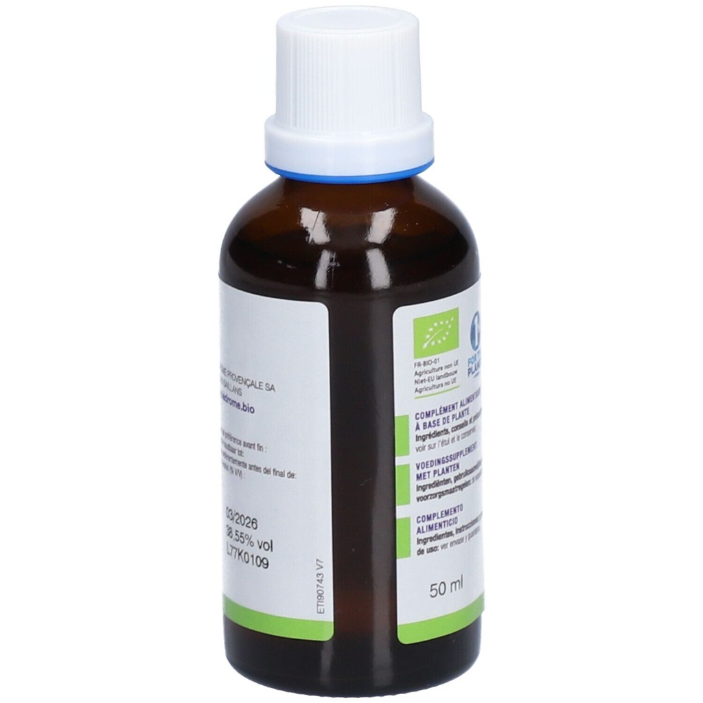 Teinture mère de gingembre - Zingiber officinalis - 50 ml