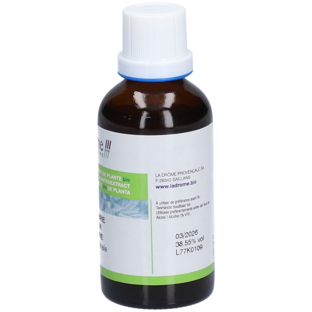 Teinture mère de gingembre - Zingiber officinalis - 50 ml
