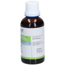 Teinture mère de gingembre - Zingiber officinalis - 50 ml