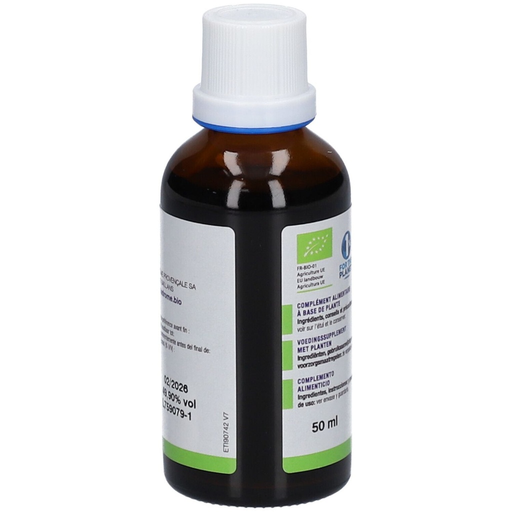 Teinture mère de gui - Viscum album - 50 ml