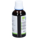 Teinture mère de houblon - Humulus lupulus - 50 ml