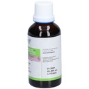 Teinture mère de houblon - Humulus lupulus - 50 ml