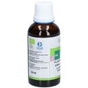 Teinture mère de plantain - Plantago lanceolata - 50 ml