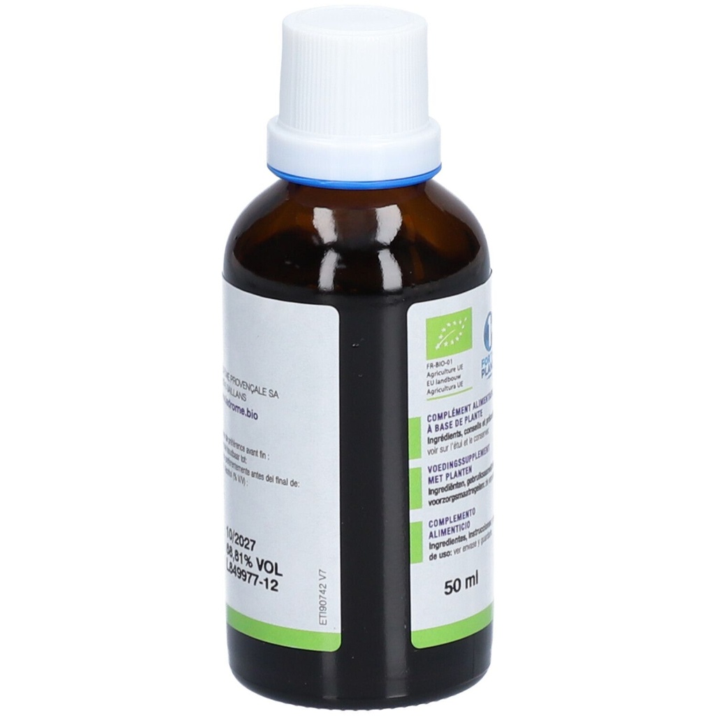 Teinture mère de plantain - Plantago lanceolata - 50 ml