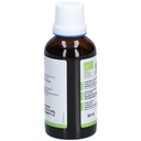 Teinture mère de plantain - Plantago lanceolata - 50 ml