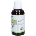Teinture mère de plantain - Plantago lanceolata - 50 ml