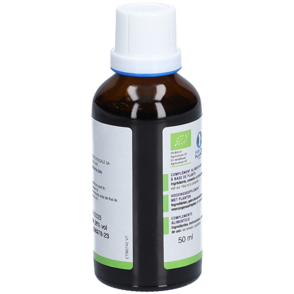 Teinture mère de verge d'or - Solidago virgaurea - 50 ml