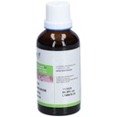 Teinture mère de verge d'or - Solidago virgaurea - 50 ml