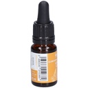 Verveine - vervain n°31 - 10 ml