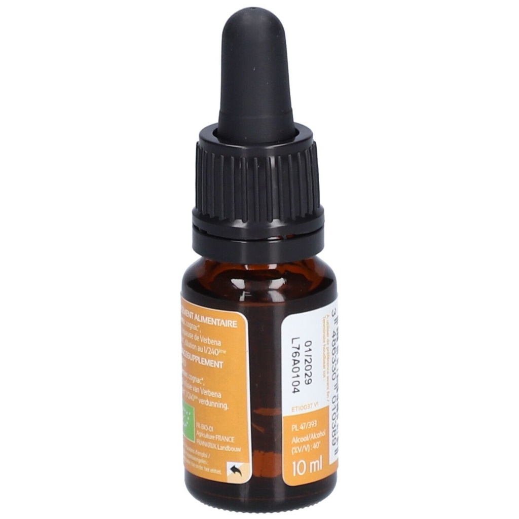 Verveine - vervain n°31 - 10 ml