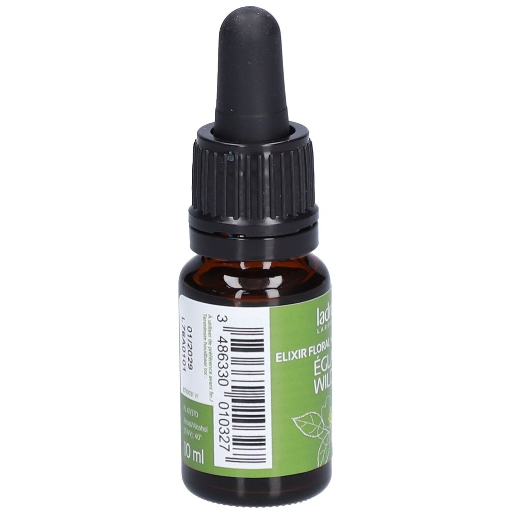 Églantier - wild rose n°37 - 10 ml