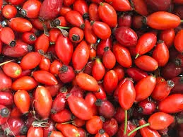 téléchargement - 2026-02-13T120558.283.webp