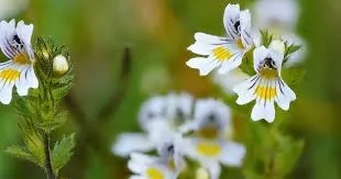 téléchargement - 2026-02-21T162553.485.webp