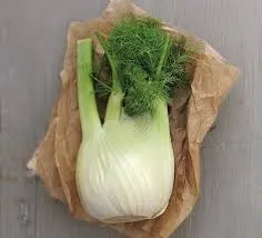 téléchargement - 2026-02-23T075701.327.webp