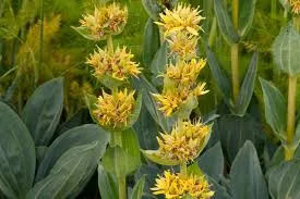 téléchargement - 2026-02-25T084242.861.webp