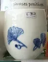 ginkgo.webp