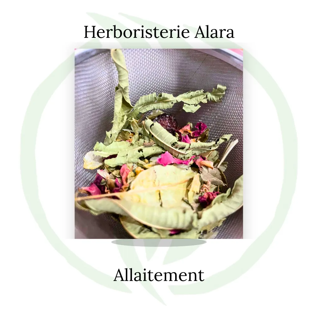 Allaitement (3).webp