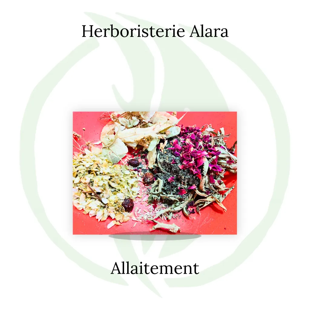 Allaitement (2).webp