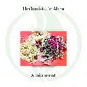 Allaitement (2).webp