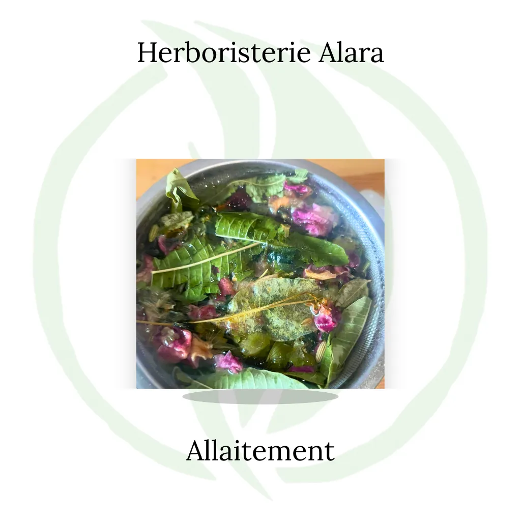 Allaitement (1).webp