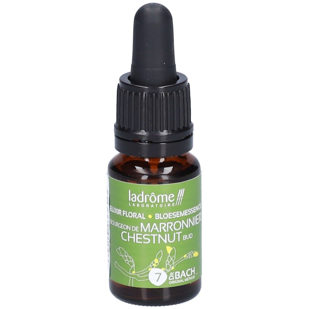 Bourg. marronier - chestnut bud n°7 - 10 ml