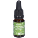 Bourg. marronier - chestnut bud n°7 - 10 ml