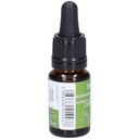Bourg. marronier - chestnut bud n°7 - 10 ml