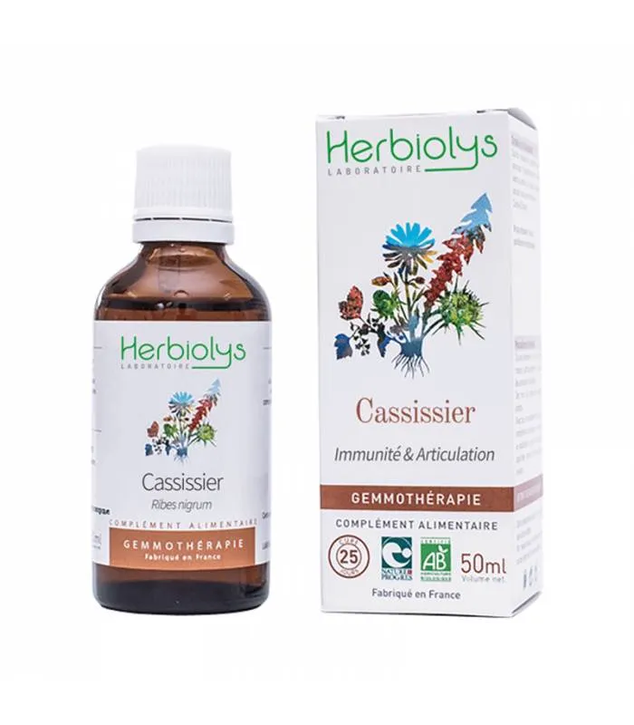 Cassis BIO 30ML SANS ALCOOL