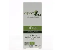 Hêtre 50ml