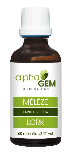 Mélèze 50ml