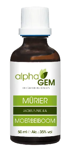 Murier 50ml