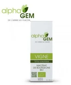 Vigne 50ml