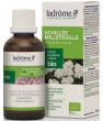 Teinture mère d'achillée-millefeuille - Achillea millefolium- 50 ml