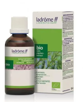 Teinture mère d'Acore vraie - Acorus calamus - 50 ml