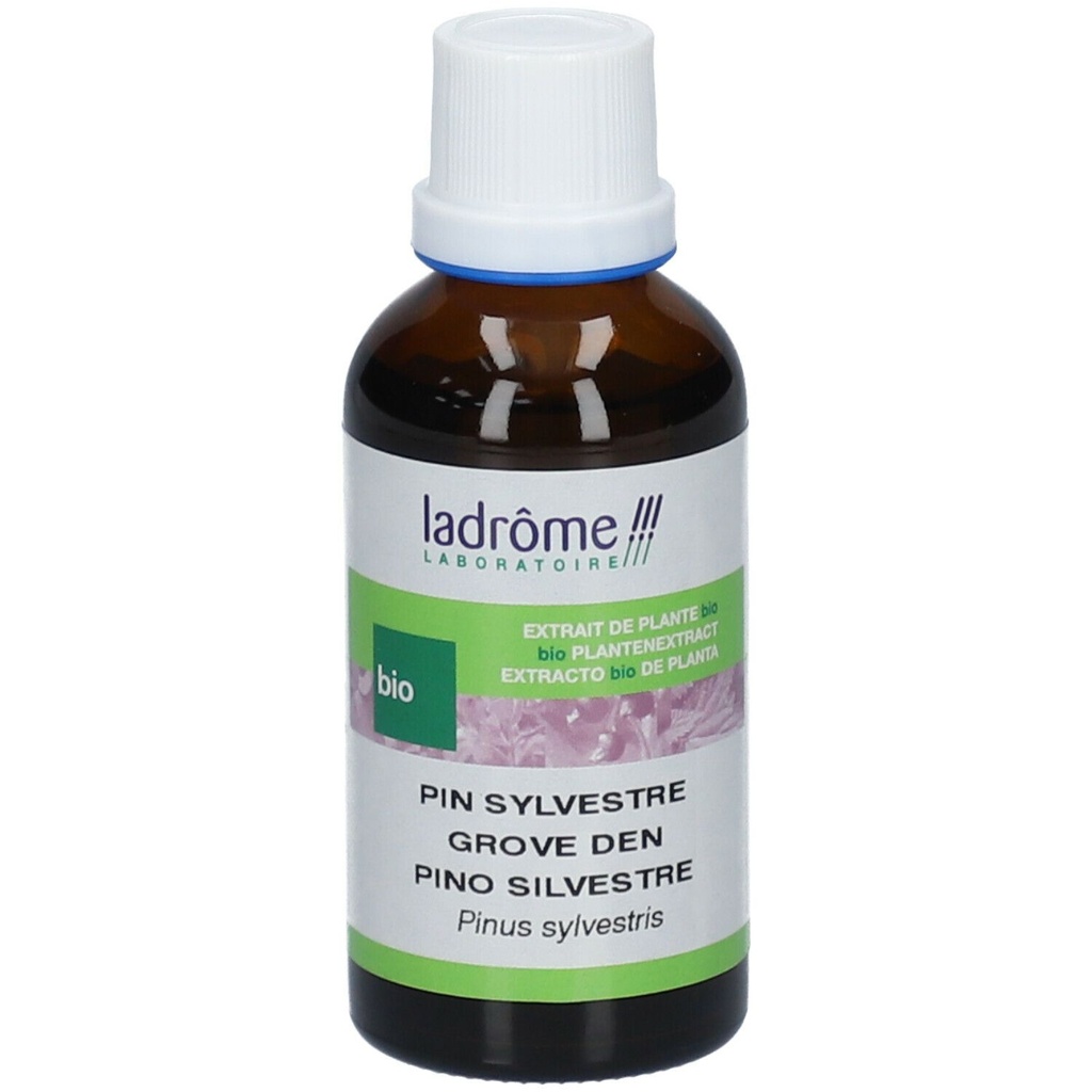 Teinture mère d'Aiguilles de pin sylvestre - 50 ml