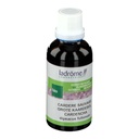 Teinture mère de Cardère sauvages - dipsacus fullonum (racine) - 50 ml