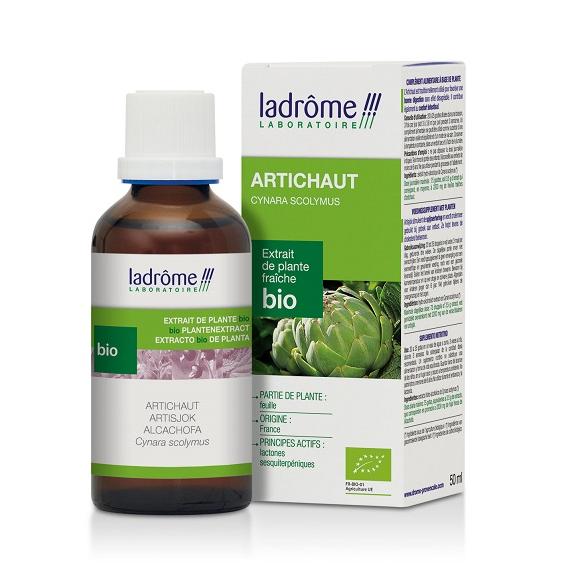 Teinture mère d'artichaut - Cynara scolymus - 50 ml