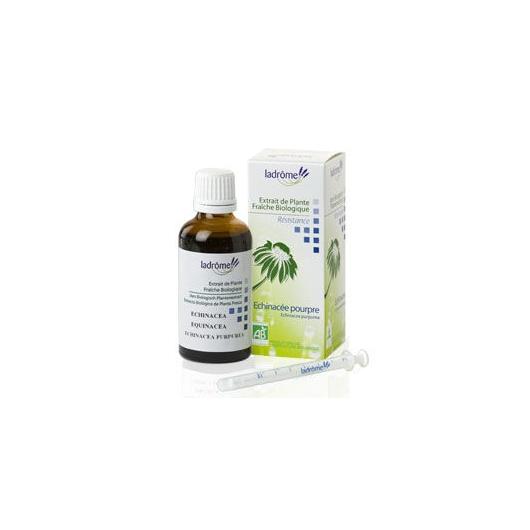 Teinture mère d'echinacée - Echinacea purpurea 50 ml