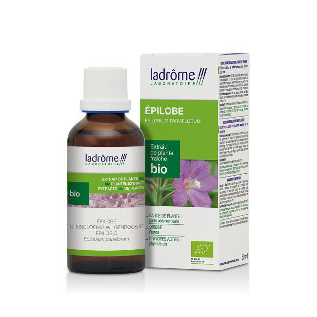 Teinture mère d'épilobe - Epilobium angustifolium - 50 ml