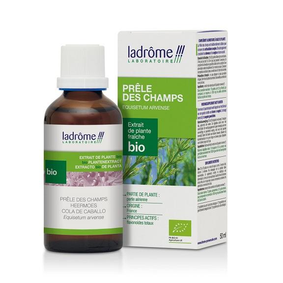 Teinture mère de prêle des champs - Equisetum arvense - 50 ml