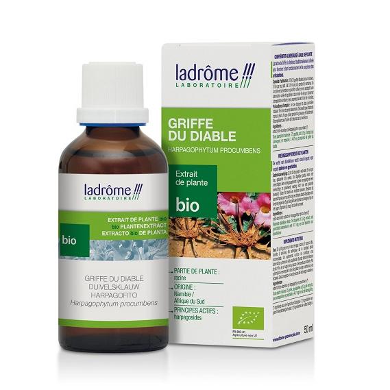 Teinture mère de griffe du diable - Harpagophytum procumbens - 50 ml