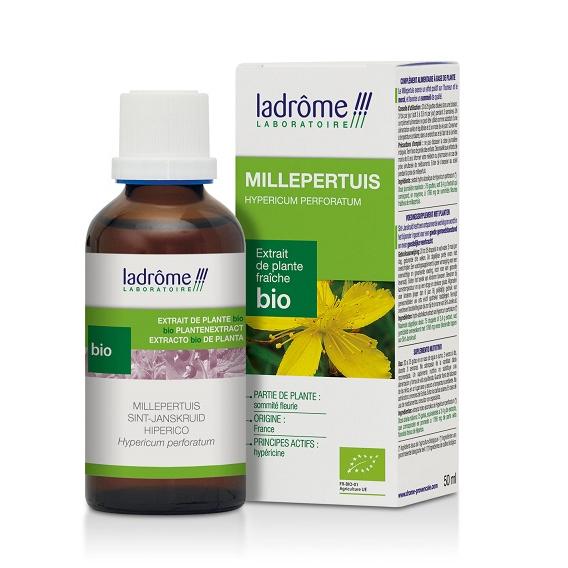 Teinture mère de millepertuis - Hypericum perforatum - 50 ml