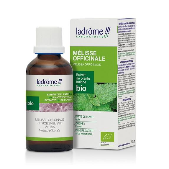 Teinture mère de mélisse - Melissa officinalis - 50 ml