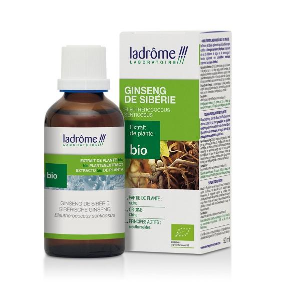 Teinture mère de Panax ginseng/ginseng - 50 ml