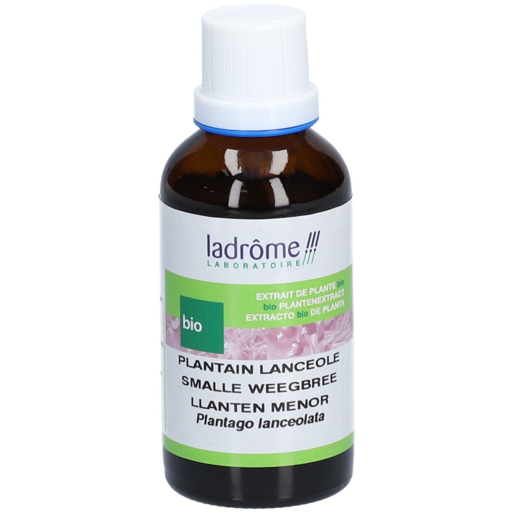 Teinture mère de plantain - Plantago lanceolata - 50 ml