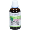 Teinture mère de plantain - Plantago lanceolata - 50 ml