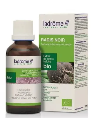 Teinture mère de radis nois - Raphanus sativus var. niger - 50 ml