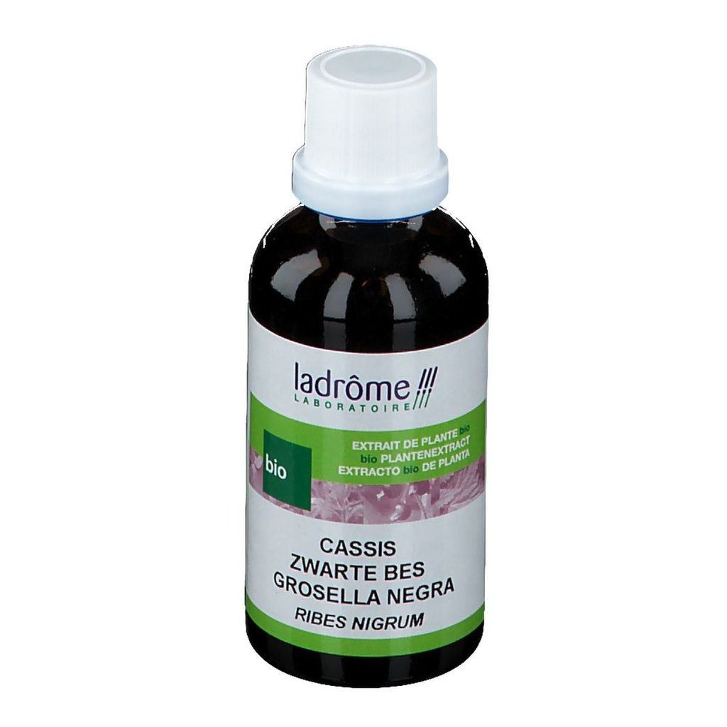 Teinture mère de cassis - Ribes nigrum - 50 ml