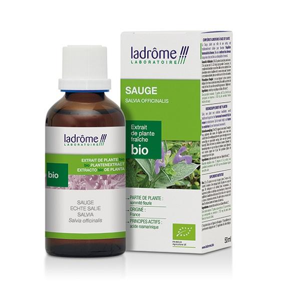 Teinture mère de sauge - Salvia officinalis - 50 ml