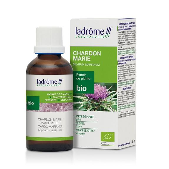 Teinture mère de chardon marie - Silybum marianum - 50 ml
